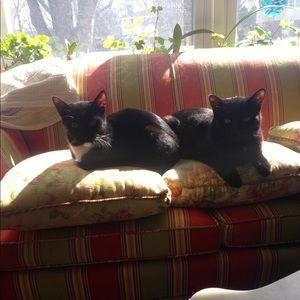 Meet your Posher, Helen